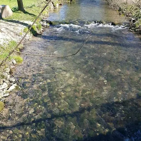 Апартаменты Altenbeken- 1